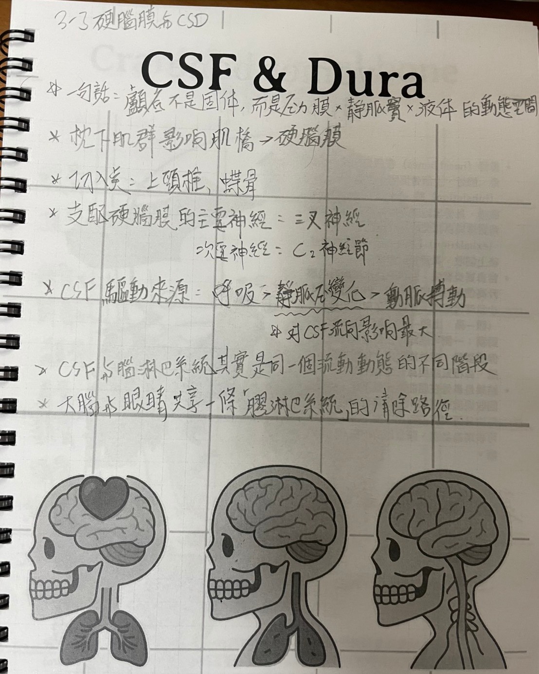 【進階頸椎3-3 硬腦膜與CSD】上課筆記・原貼文圖片 1