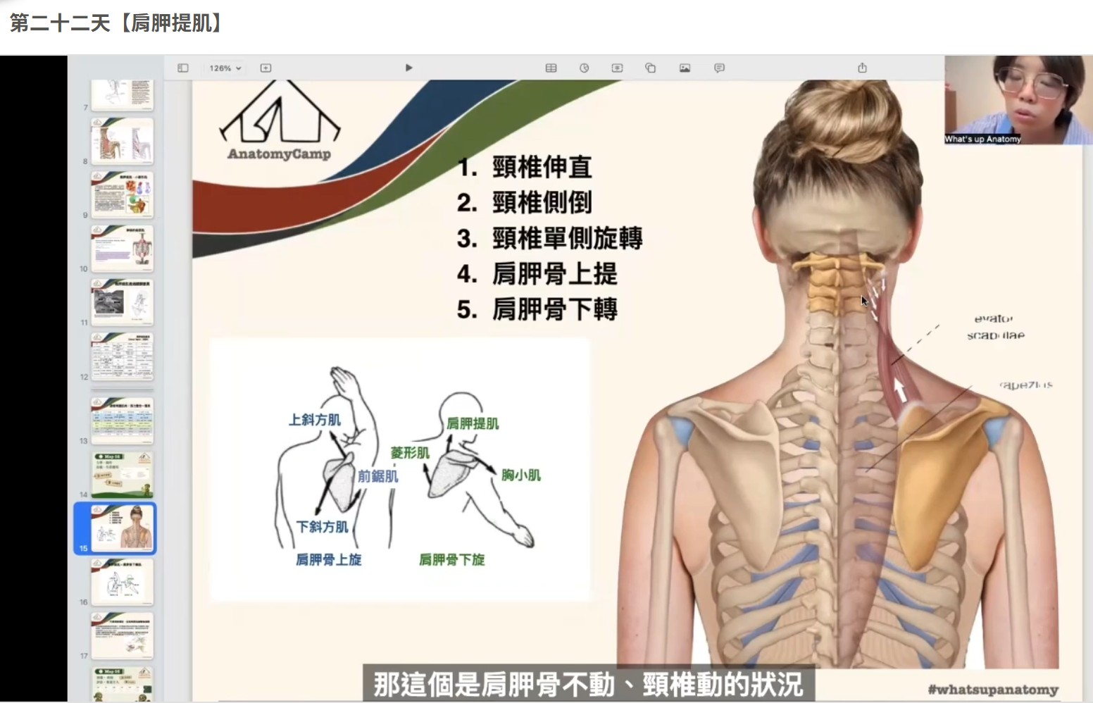 【第二十二天【肩胛提肌】】・原貼文圖片 1