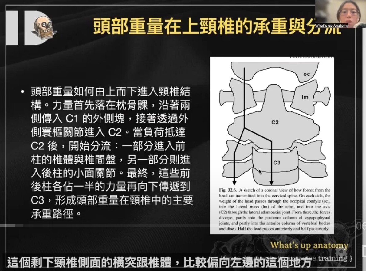 【進階頸椎3-1 上頸椎OA -AA 關節解剖】上課筆記・原貼文圖片 1