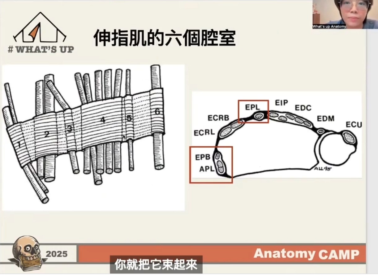 【第三天【解剖鼻煙壺】】・原貼文圖片 1