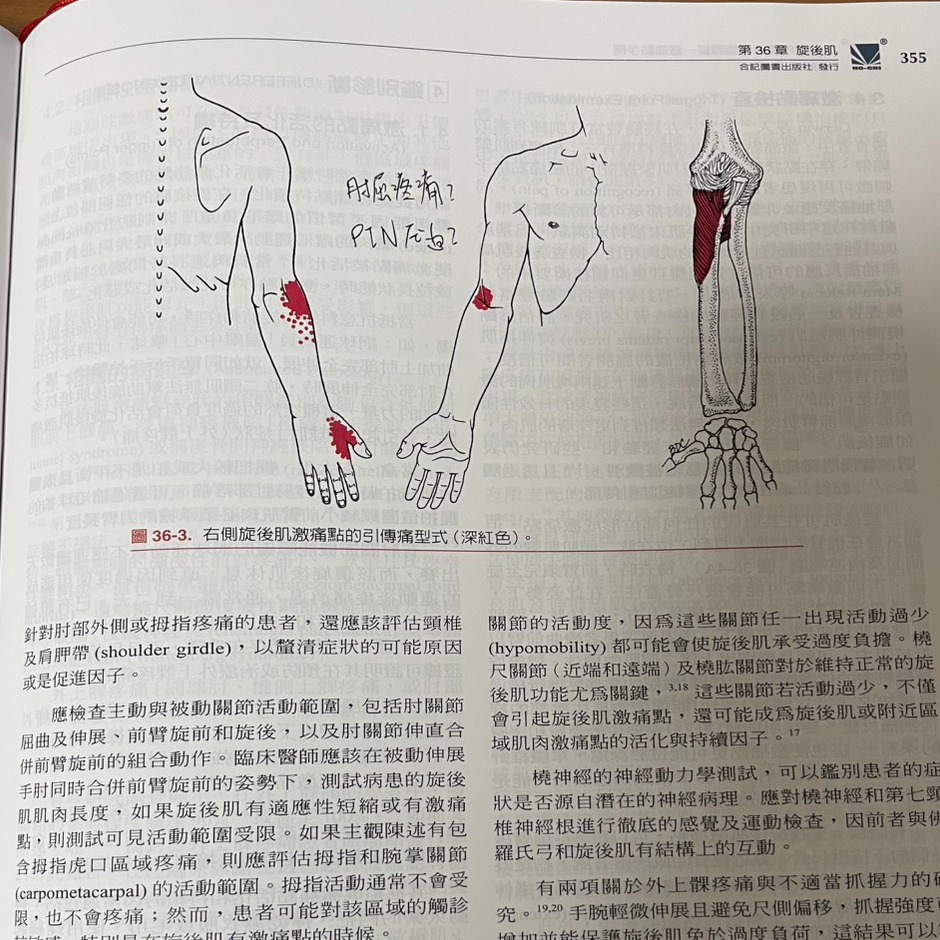 【第36章】旋後肌・原貼文圖片 1