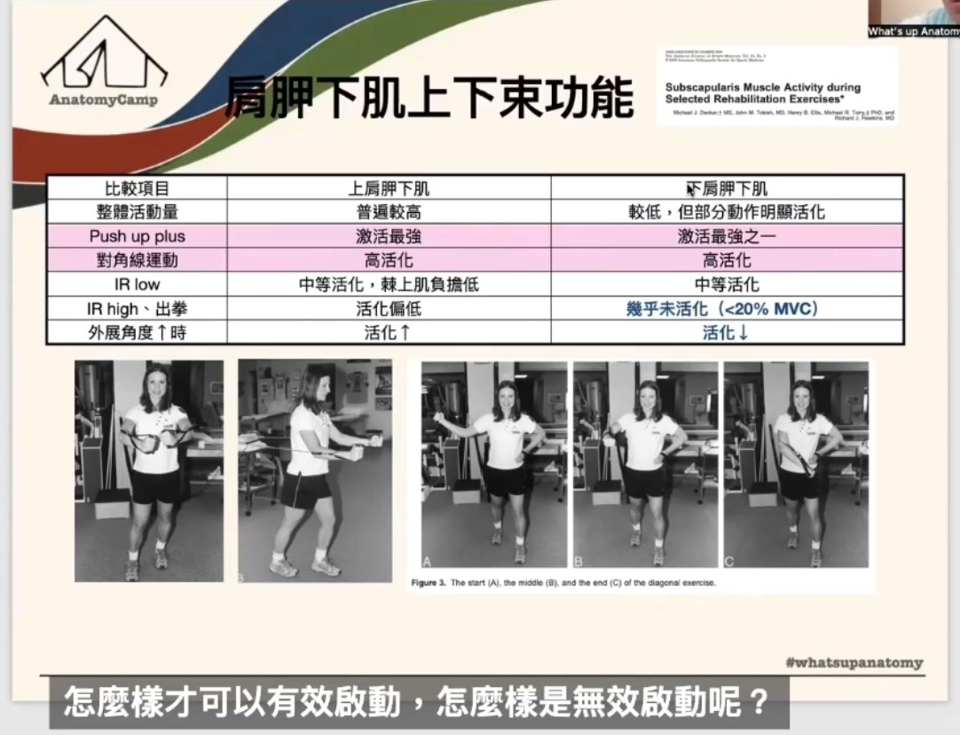 王翊錞中醫師原始文章圖片