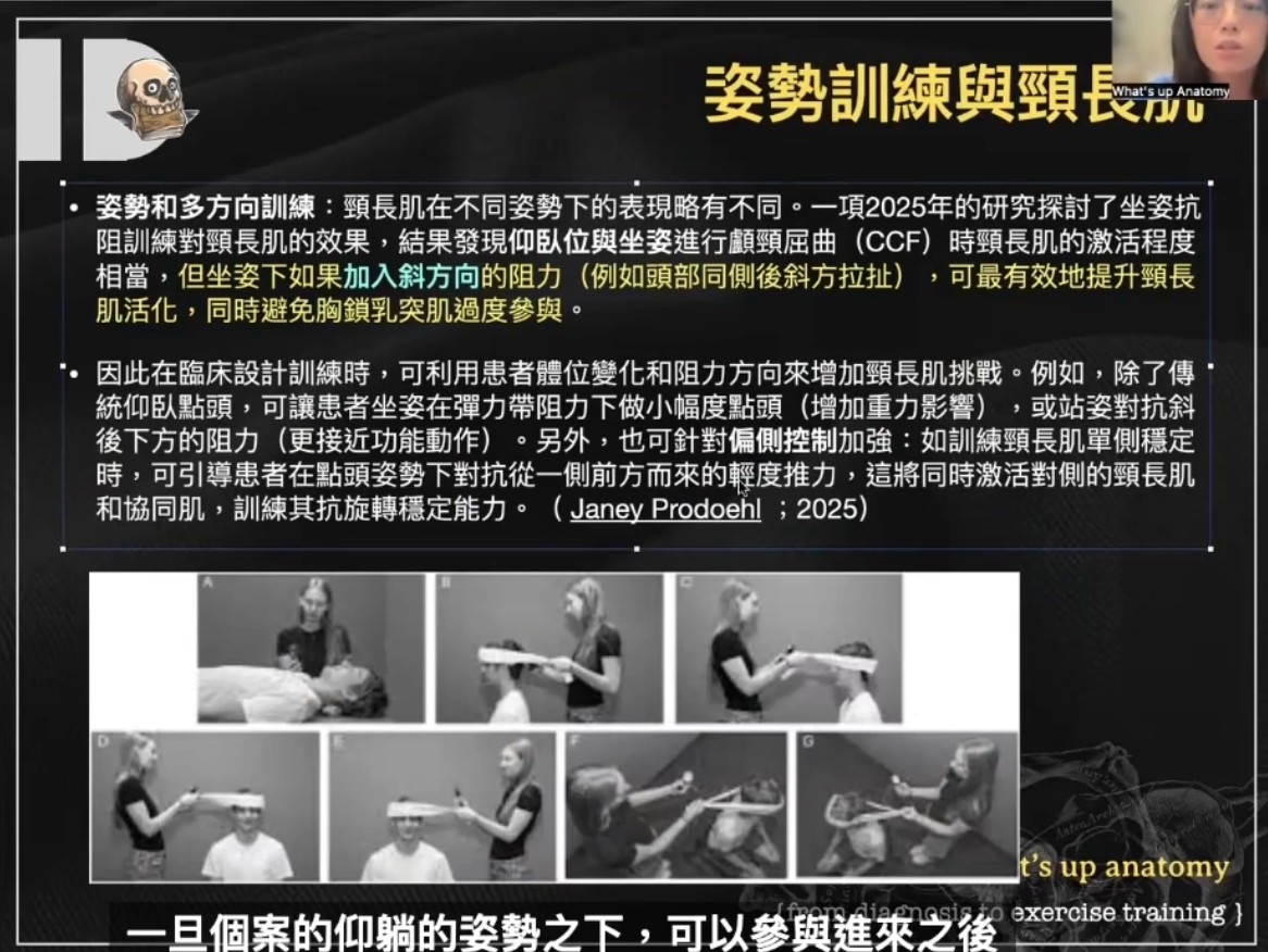 【進階頸椎2-4】 頸椎前側肌肉:頸長肌、頭長肌、斜角肌、舌骨肌群・原貼文圖片 1