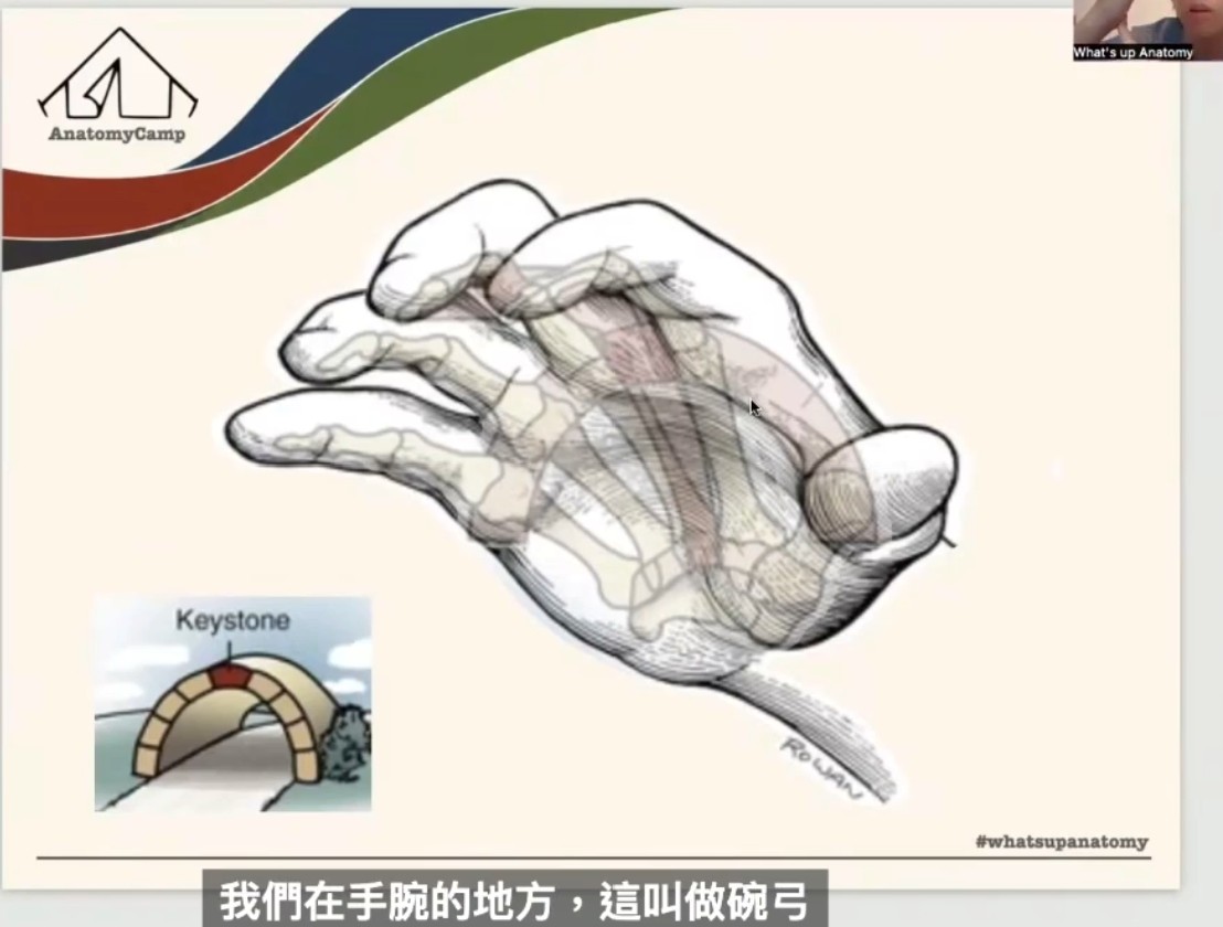 【第一天『手腕骨』】・原貼文圖片 1